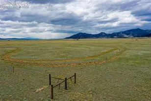 463 Snowshoe Ln, Lake George, CO 80827 - Photo 43