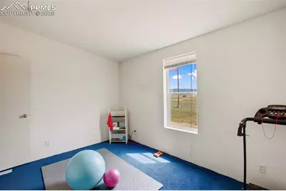 463 Snowshoe Lane, Lake George, CO 80827 - Photo 33