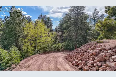 318 Southgate Road, Florissant, CO 80816 - Photo 41