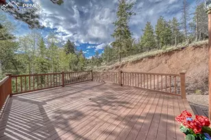 318 Southgate Rd, Florissant, CO 80816 - Photo 29