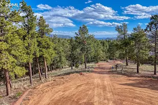 318 Southgate Rd, Florissant, CO 80816 - Photo 43