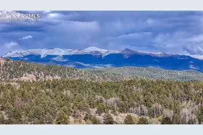 318 Southgate Road, Florissant, CO 80816 - Photo 39