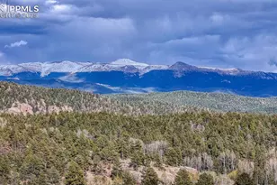 318 Southgate Rd, Florissant, CO 80816 - Photo 39