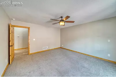 318 Southgate Road, Florissant, CO 80816 - Photo 23