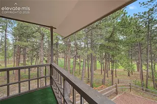 18675 St Andrews Dr, Monument, CO 80132 - Photo 39