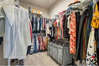 4101 Ryedale Way, Colorado Springs, CO 80922 - Photo 21