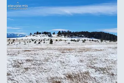 19210 Mariah Trail, Colorado Springs, CO 80908 - Photo 5