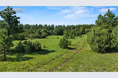 Old Homestead Lane, Beulah, CO 81023 - Photo 19