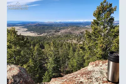 57 Fir Lane, Florissant, CO 80816 - Photo 5