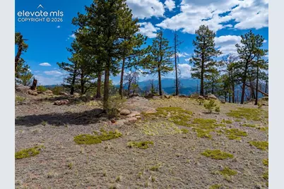 57 Fir Lane, Florissant, CO 80816 - Photo 33