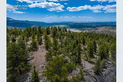 57 Fir Lane, Florissant, CO 80816 - Photo 49