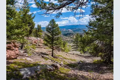 57 Fir Lane, Florissant, CO 80816 - Photo 9