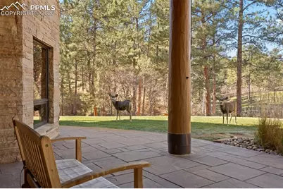 6833 Yampa Drive, Larkspur, CO 80118 - Photo 27