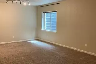 8127 Mockorange Heights, Colorado Springs, CO 80908 - Photo 29