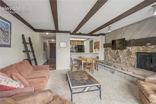 107 Harris Street, Breckenridge, CO 80424 - Photo 17