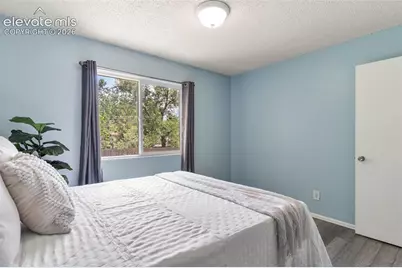 346 Iris Drive, Fountain, CO 80817 - Photo 19