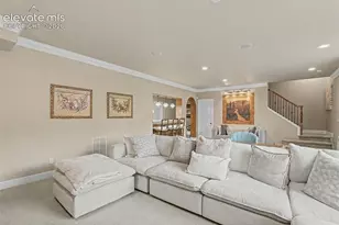 3734 Tuscanna Grove, Colorado Springs, CO 80920 - Photo 23