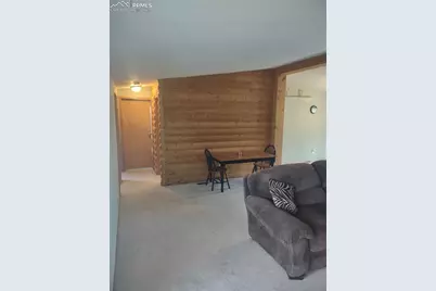 350 Brooks Lane, Woodland Park, CO 80863 - Photo 9