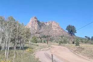 350 Brooks Ln, Woodland Park, CO 80863 - Photo 43