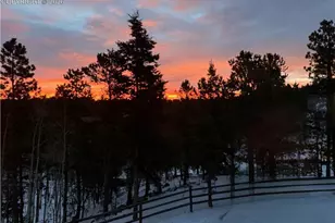 42 Potlatch Trail, Woodland Park, CO 80863 - Photo 25