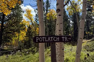 42 Potlatch Trail, Woodland Park, CO 80863 - Photo 23