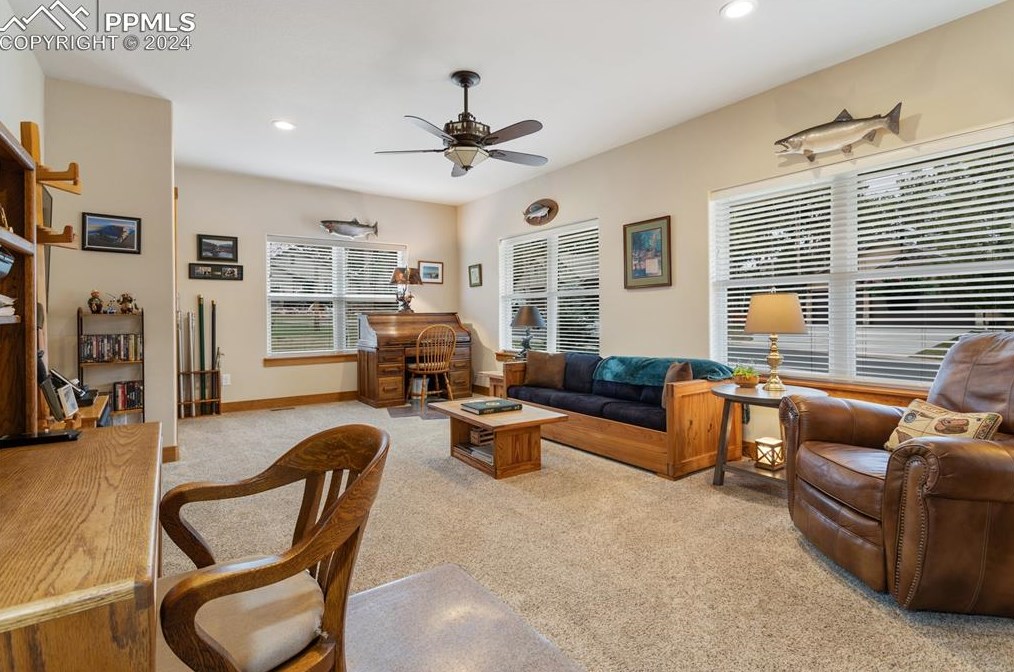 1175 Ptarmigan Dr, Woodland Park CO 80863-8004 exterior