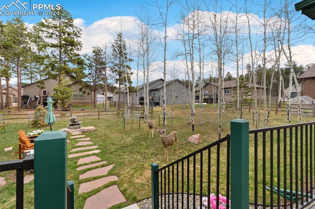 1175 Ptarmigan Dr, Woodland Park CO 80863-8004 exterior