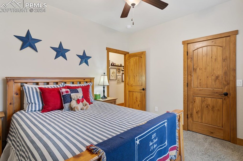 1175 Ptarmigan Dr, Woodland Park CO 80863-8004 exterior