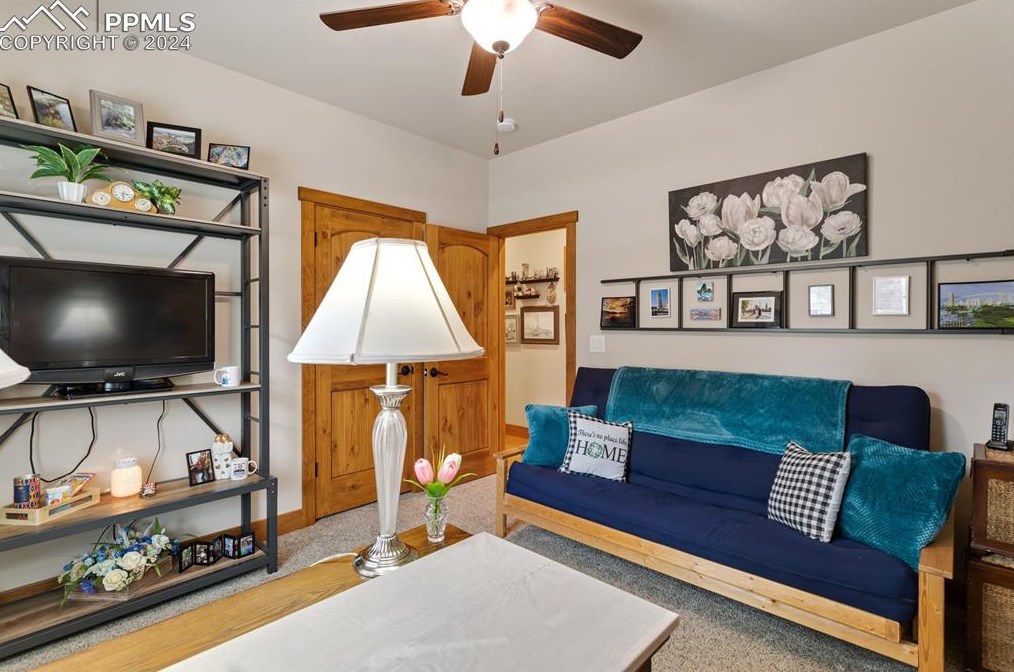 1175 Ptarmigan Dr, Woodland Park CO 80863-8004 exterior