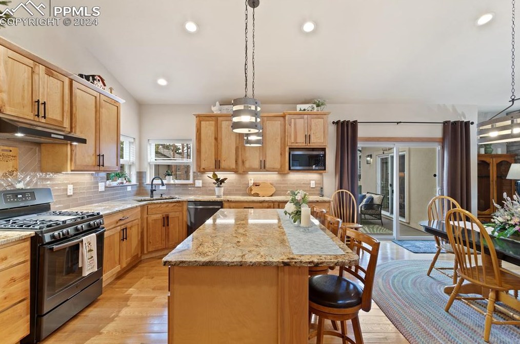 1175 Ptarmigan Dr, Woodland Park CO 80863-8004 exterior