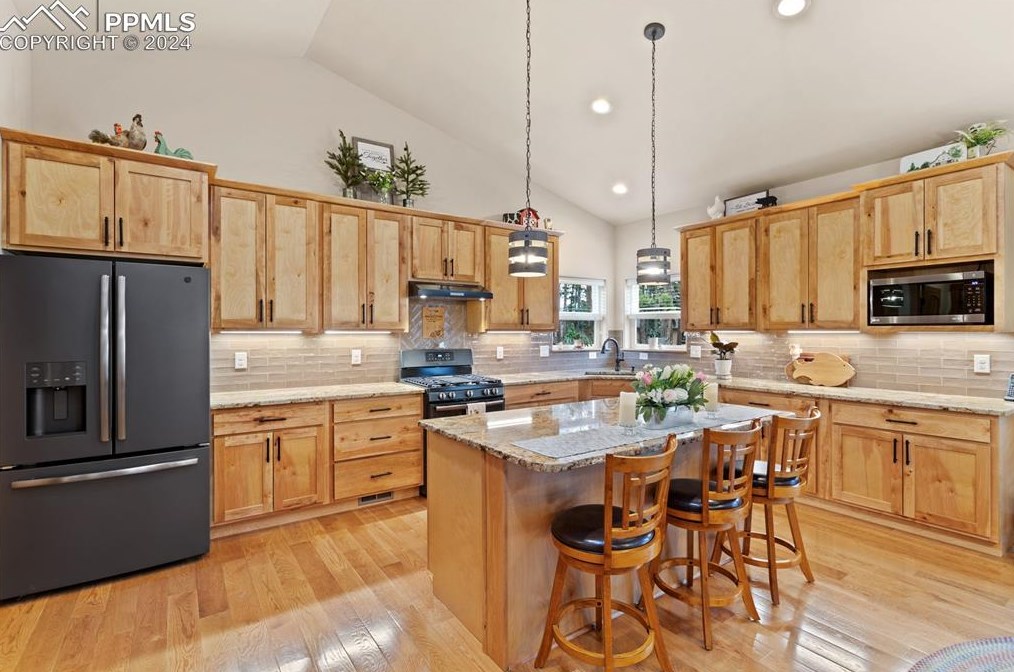 1175 Ptarmigan Dr, Woodland Park CO 80863-8004 exterior