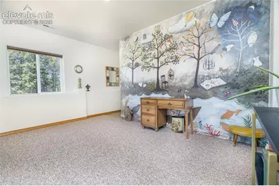 161 Wahsatch Road, Florissant, CO 80816 - Photo 27