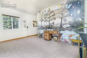 161 Wahsatch Rd, Florissant, CO 80816 - Photo 27