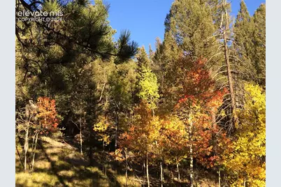 161 Wahsatch Road, Florissant, CO 80816 - Photo 33