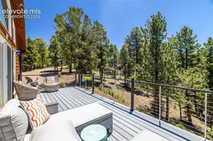 161 Wahsatch Rd, Florissant, CO 80816 - Photo 9
