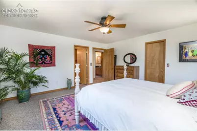 161 Wahsatch Road, Florissant, CO 80816 - Photo 21