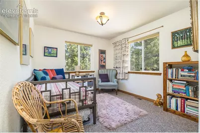 161 Wahsatch Road, Florissant, CO 80816 - Photo 23