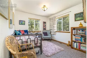 161 Wahsatch Rd, Florissant, CO 80816 - Photo 23