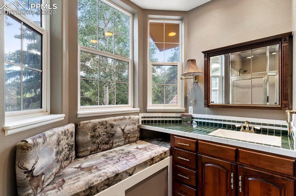 1000 Sun Valley Dr, Woodland Park CO 80863-9076 exterior