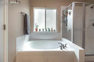 9331 Rock Pond Way, Colorado Springs, CO 80924 - Photo 13
