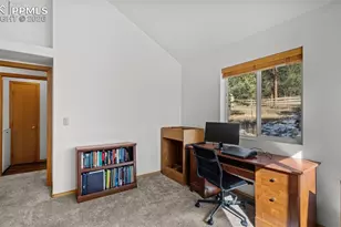 23 Wasatch Ln, Florissant, CO 80816 - Photo 9