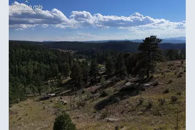 4687 W Highway 24, Florissant, CO 80816 - Photo 43