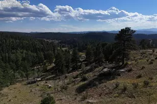 4687 W Hwy 24, Florissant, CO 80816 - Photo 43