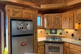 110 Wallace Dr, Florissant, CO 80816 - Photo 21