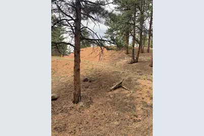 110 Wallace Drive, Florissant, CO 80816 - Photo 29