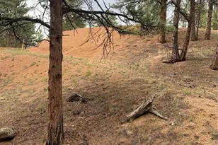 110 Wallace Dr, Florissant, CO 80816 - Photo 29