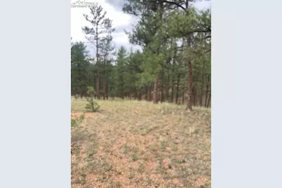 110 Wallace Drive, Florissant, CO 80816 - Photo 31