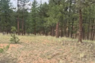 110 Wallace Dr, Florissant, CO 80816 - Photo 31