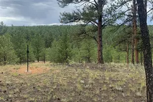 110 Wallace Dr, Florissant, CO 80816 - Photo 41