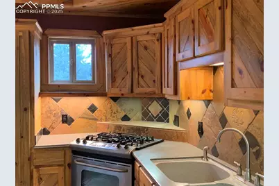 110 Wallace Drive, Florissant, CO 80816 - Photo 23